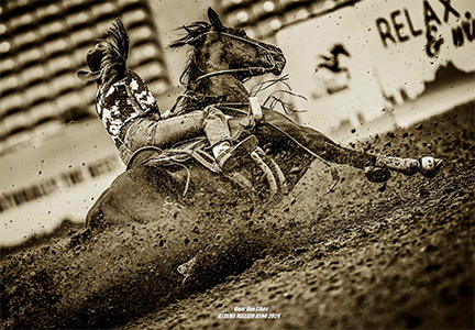 Barrel Racing Photographty